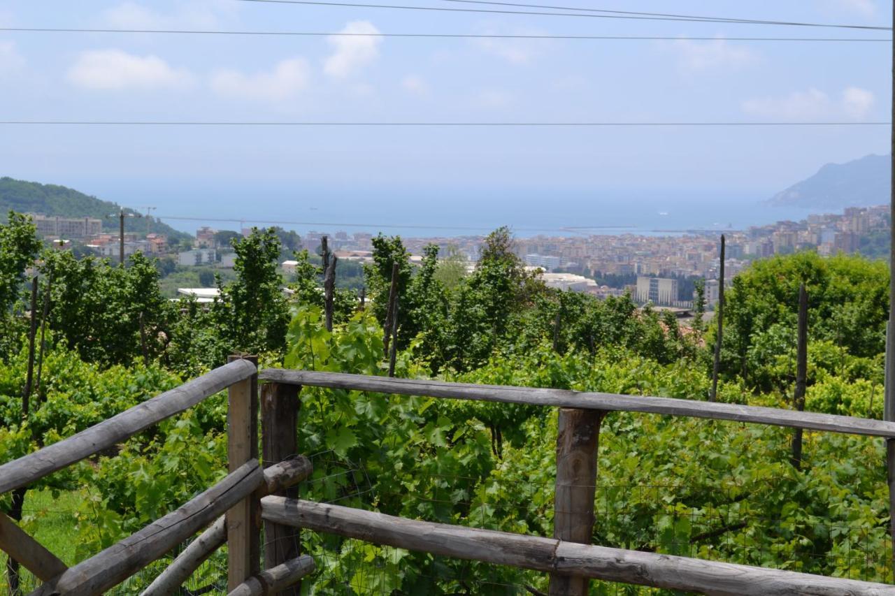 B&B Green Valley Salerno Exterior foto
